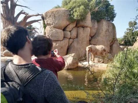 Selwo Aventura o Bioparc Fuengirola